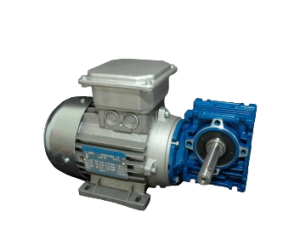 F22090140 - IBC Controls  3-phase Worm Gear Motor 3x230/400 V, 50 Hz, 90 W / 140 rpm